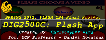 FlashApplication